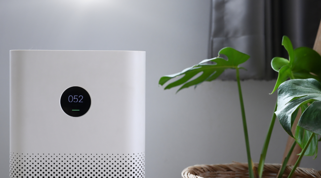 Do Air Purifiers Really Work_ Myths Debunked!