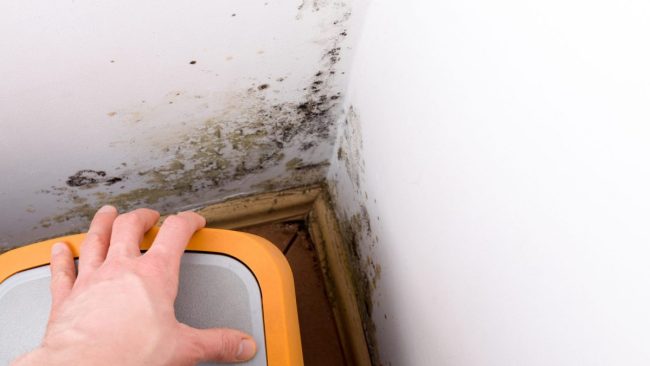 La-Nina-Mould-Summer-1200×675