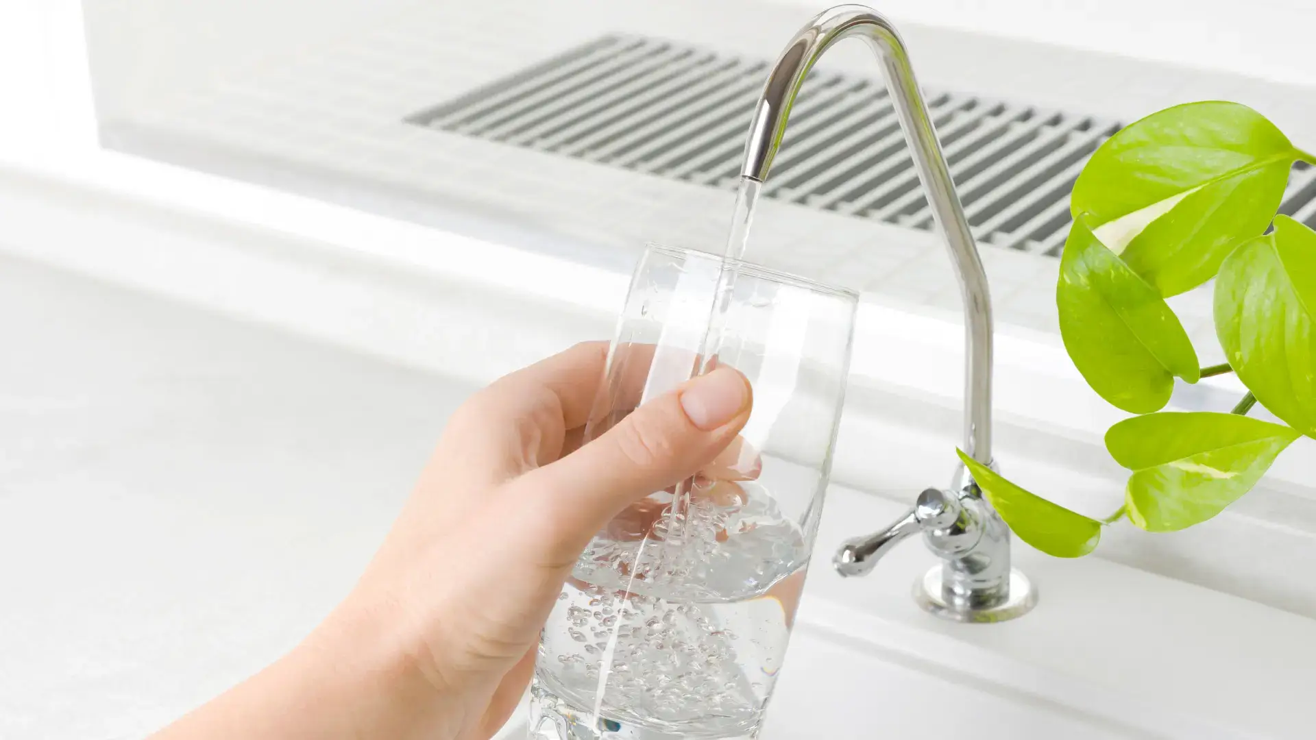 Filling glass with fresh water
